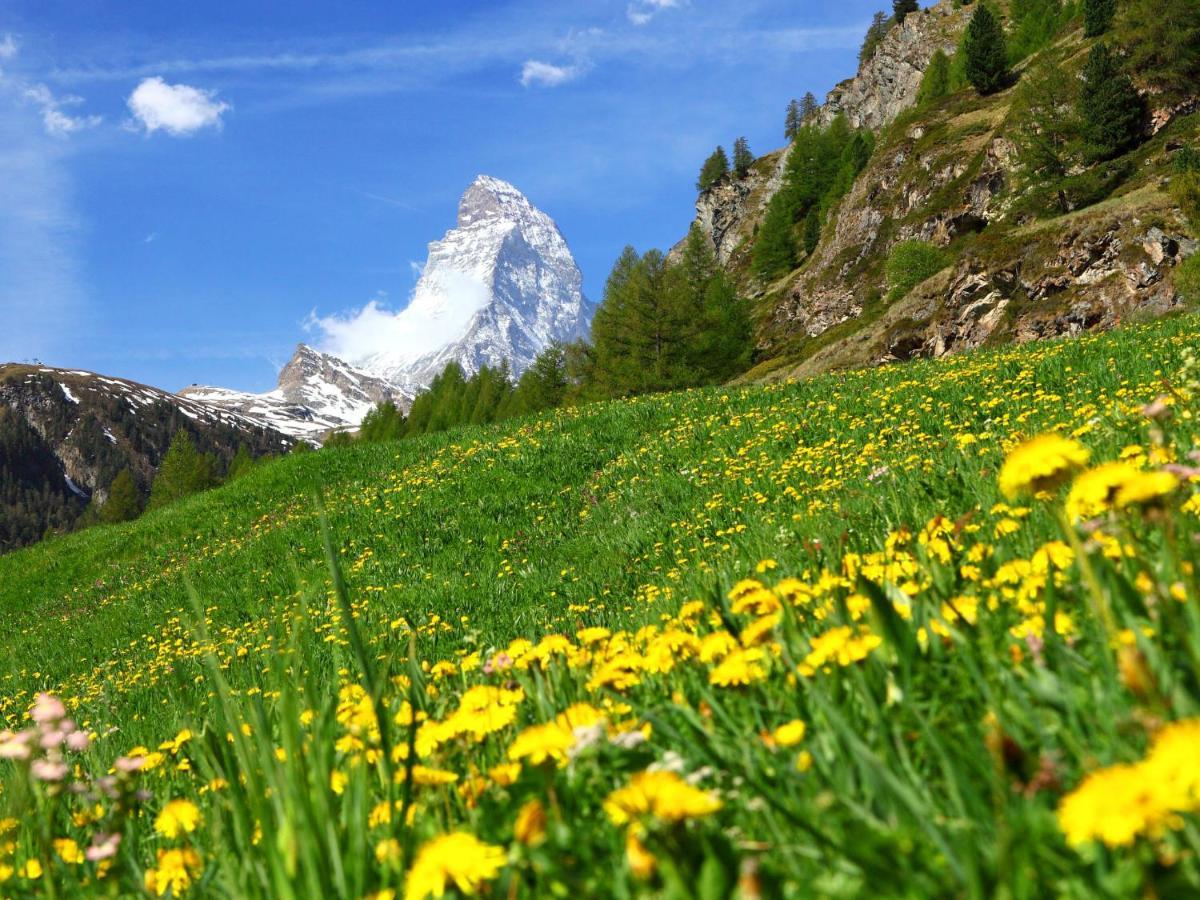 Apartment Richemont By Interhome Zermatt Kültér fotó